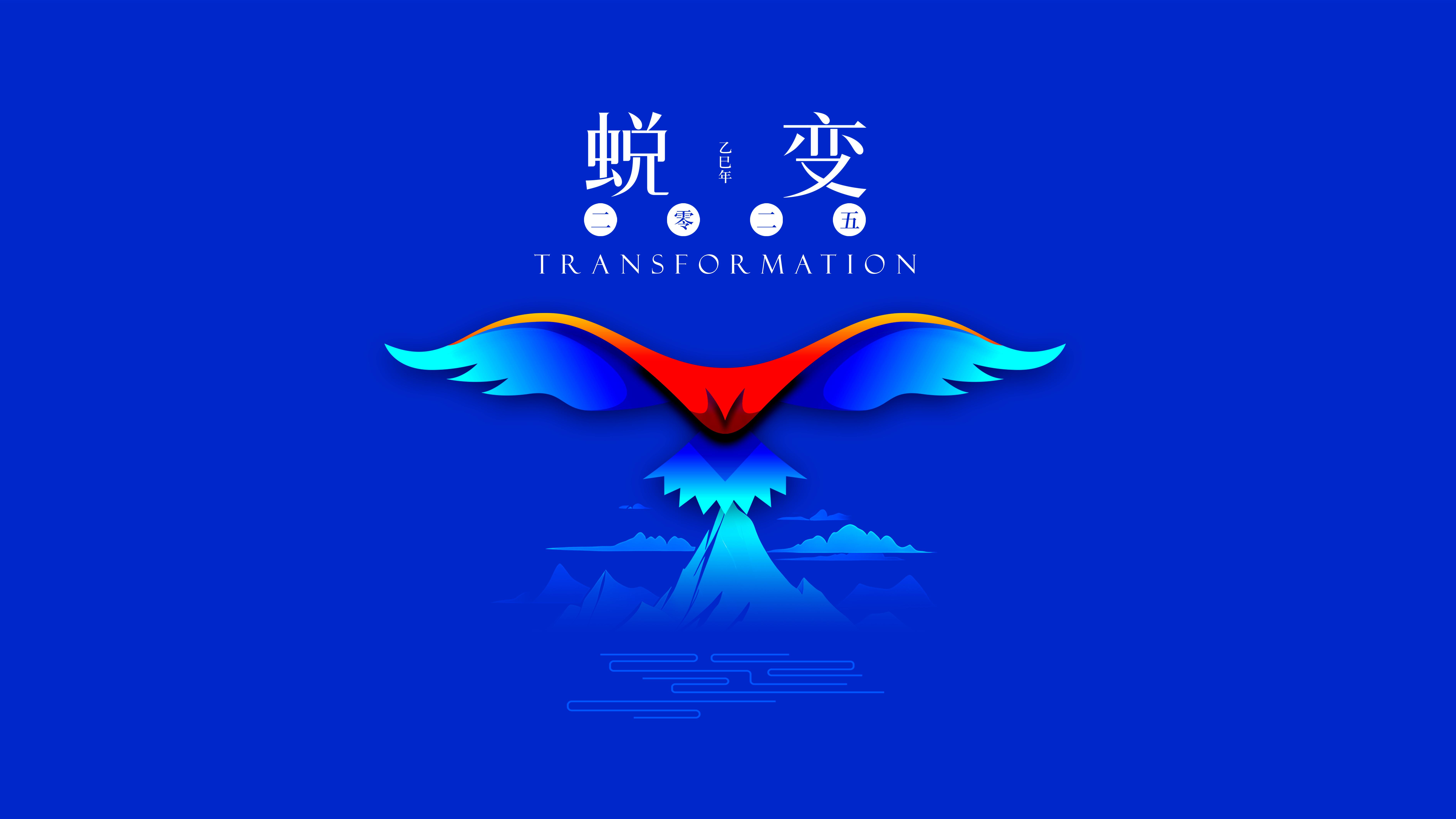 我與海星的2024，期待2025年與您一起續(xù)寫(xiě)美好篇章